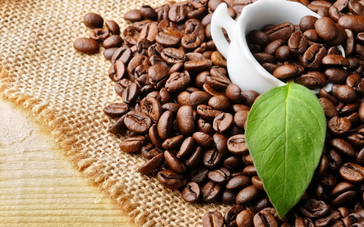 Xuất khẩu cà phê sang EU: Doanh nghiệp cần làm gì trước khi EUDR có hiệu lực? 