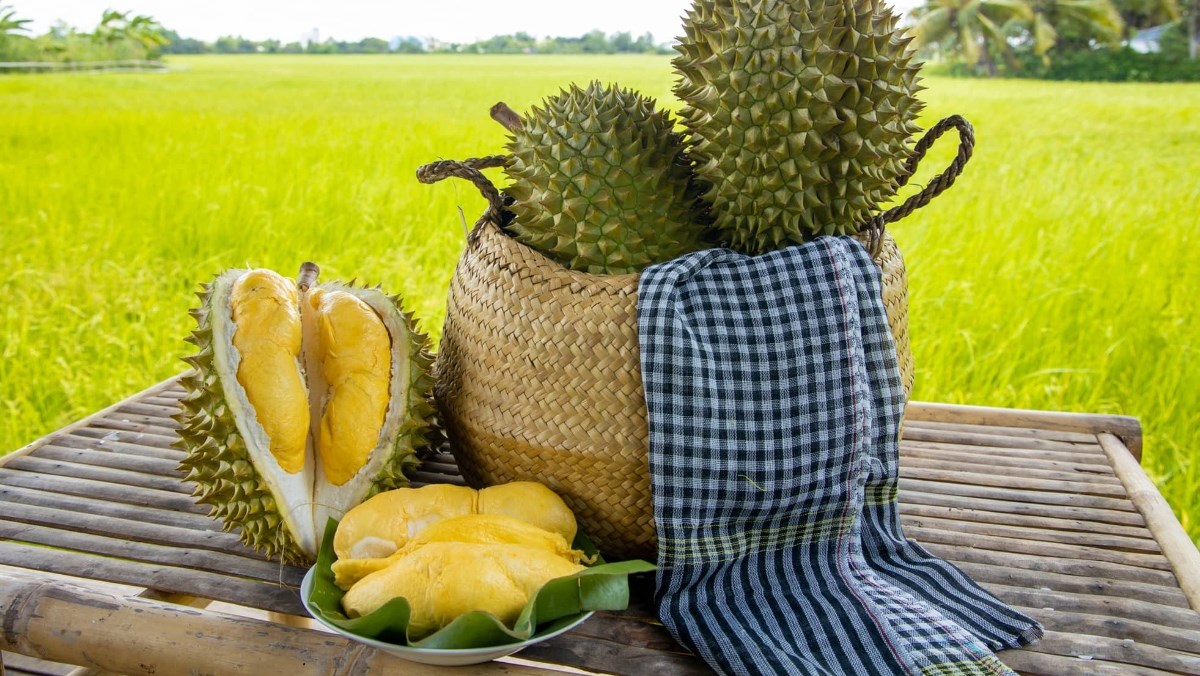 Ấn Độ “bật đèn xanh” cho sầu riêng Việt Nam