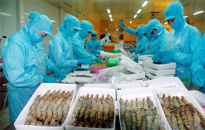 Xuất khẩu tôm Việt Nam bứt tốc trong nửa đầu năm 2026: Động lực tăng trưởng mới giữa nhiều thách thức toàn cầu